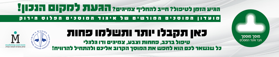 הפלוס הירוק